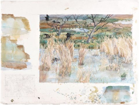 John Wolseley Bronze Ibis - Gwydir, 2009; watercolour on paper; 57 x 76 cm; enquire