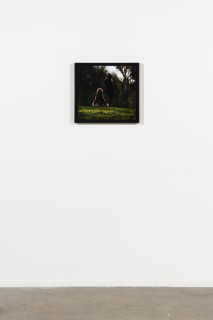 installation view; Louise Hearman Untitled #1563, 2025; oil on masonite; 41 x 45 cm; enquire
