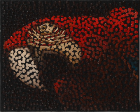 Daniel Boyd Untitled (PDWNCN), 2004-2025; oil and archival glue on canvas board; 25 x 20.5 cm; more info; enquire