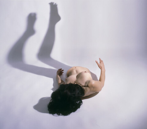 Julie Rrap Boat Tail (BT), 2004; pure pigment prints on acid-free rag paper; 142.5 x 163 cm; 152 x 173 cm (paper size); Edition of 9; enquire