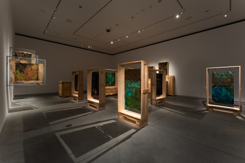 EXHIBITION: Kirtika Kain presents 'Unkept' at the Chau Chak Wing Museum