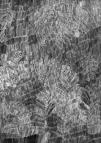 Nyapanyapa Yunupiŋu 40. Birrka'mirri 11, 2011; 4303M; paint pen on clear acetate plastic; 83.5 x 59.5 cm; enquire