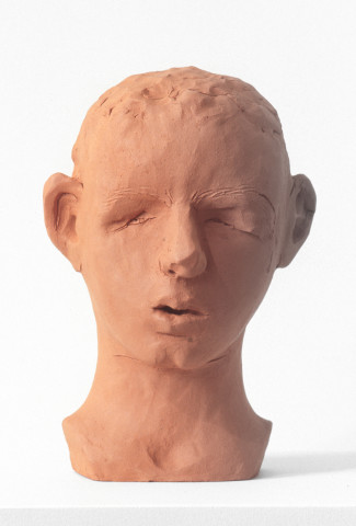 Linda Marrinon Bust of a Boxer, 1994; terracotta; 39 cms high; enquire