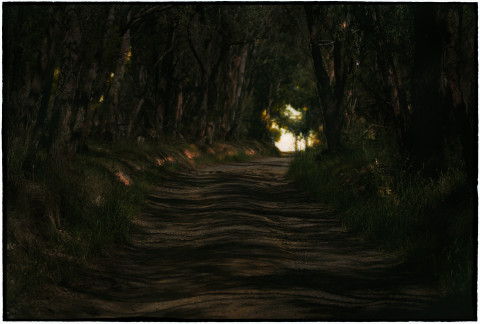 Bill Henson Untitled, 2018-19; CL GW SH4 N28; archival inkjet pigment print; 127 x 180 cm; edition of 5 + 2 AP; Enquire