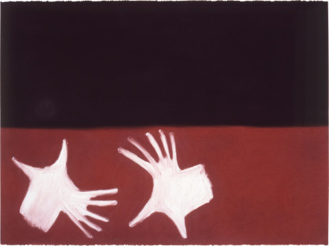 Fiona Foley Turtle Bone, 1988; pastel on paper; 56.5 x 76.5 cm; enquire