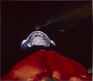 Louise Hearman Untitled #  994, 2003; oil on masonite; 51 x 59 cm; enquire