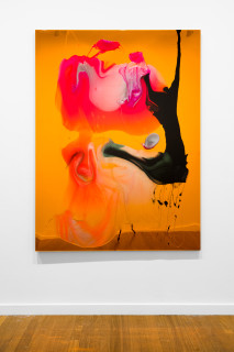 installation view; Dale Frank He really wasn’t lonely, he just hated anyone who stayed a moment longer than needed, 2026; colour powder pigments in Epoxyglass, Epoxyglass, on perspex; 200 x 150 cm; enquire