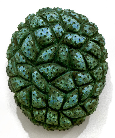 Bronwyn Oliver Breather, 1993; copper; 50 x 40 x 25 cm; enquire