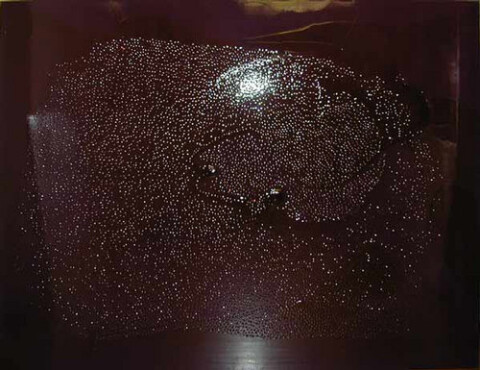 Dale Frank Stephen Hawkings Bedroom Proficiency, 2001; acrylic & varnish on canvas; 200 x 260 cm; enquire