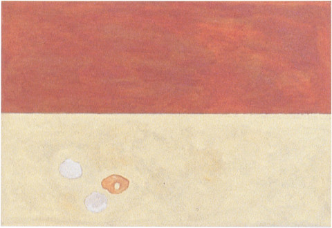 Fiona Foley Shells, 1998; oil on canvas; 40 x 39 cm; enquire