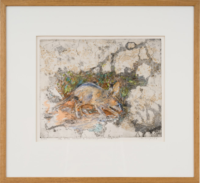 John Wolseley The Bilby Returns - Great Sandy Desert, 2024; etching with watercolour and woodcut chine-colle; 32 x 40 cm; 59 x 64 cm (framed); Edition of 30; enquire