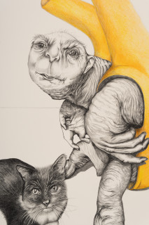 Patricia Piccinini The Moment When They Respond With Intention (detail), 2023; graphite and coloured pencil on paper; 56 x 76 cm; enquire