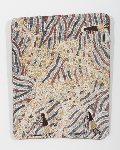 Yalmakany Marawili Riny’tjaŋu, 2024; 8641-24; earth pigments on Stringybark; 79 x 60 cm; more info; enquire