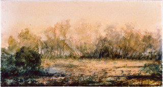 Mandy Martin Dawn in Home Paddock, 1997; oil, ochre, pigment on linen; 56 x 30 cm; enquire