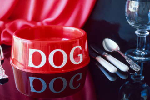 Carol Rudyard Visions of Xes, 1991; video installation; 12 minutes 45 seconds; enquire