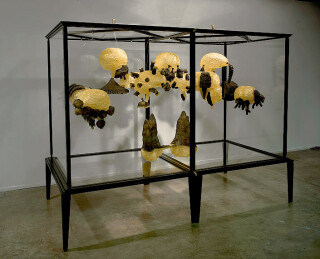 Fiona Hall Castles in the Air of the Cave-Dwellers, 2008; resin, 12 objects; various dimensions; Edition of 10 + AP 1; Enquire