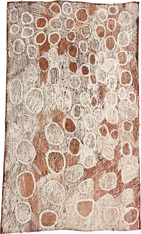 Nyapanyapa Yunupiŋu Pink and White Circles, 2011; 3925M; natural earth pigments on bark; 107 x 63 cm; enquire