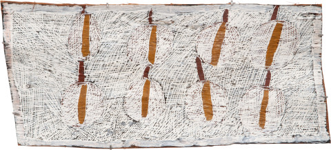 Nyapanyapa Yunupiŋu Fallen Leaves #2, 2009; 3576V; Natural earth pigments on bark; 41 x 88 cm; enquire