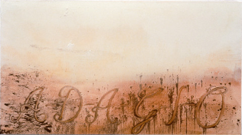 Mandy Martin Adagio, 1994; oil with ochres and pigment on linen; 152 x 275 cm; enquire