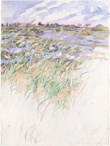 John Wolseley Flamingos - wind in reeds, 2009; watercolour and graphite on paper; 55 x 77 cm; enquire