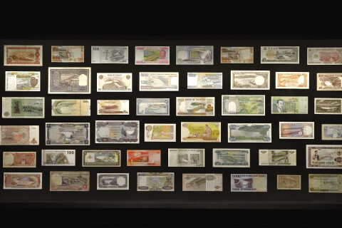 Fiona Hall Triumph of the damned, 2014-15; collection of bank notes; dimensions variable; enquire