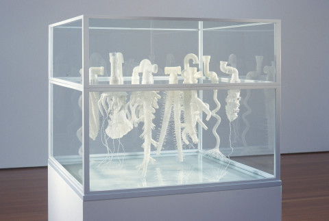 Fiona Hall Dead in the Water, 1999; pvc pipe, glass beads, wire, vitrine; 106.5 x 128 x 128 cm; vitrine dimensions; enquire