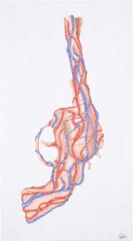 Maria Kozic Pulse (Gun), 1991; synthetic polymer paint on cotton duck; 138 x 76 cm; enquire