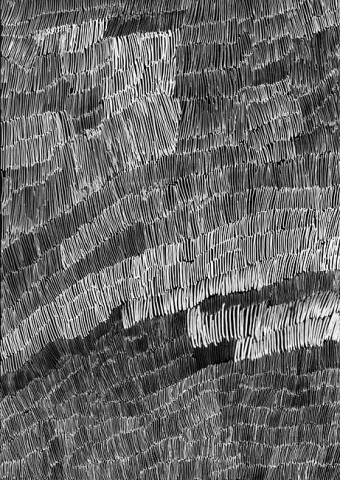 Nyapanyapa Yunupiŋu Birrka'mirri 5, 2011; 4303O; paint pen on clear acetate plastic; 83.5 x 59.5 cm; enquire
