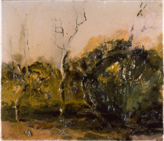 Mandy Martin Dead Gidgee near the Dump, 1997; oil, ochre, pigment on linen; 30 x 35 cm; enquire