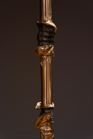 Julie Rrap Power Climber (detail), 2019; bronze; 389 x 8 x 8 cm; Edition of 2 + 1 AP; more info; enquire