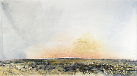 Mandy Martin Foreshore of Lake Mungo Looking Due East, 1993; oil on linen; 153 x 275 cm; enquire