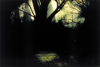 Bill Henson Untitled #88, 1998; CL SH 247 N17; Type C photograph; 104 x 154 cm; 127 x 180 cm (paper size); Edition of 5 + AP 2; enquire