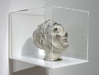Julie Rrap Eraser Head 5, 2006; silicon rubber, silica flour and graphite mounted in Perspex box; sculpture: 21 x 15 x 25 cm; box: 30 x 30 x 40 cm; enquire