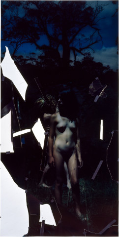 Bill Henson Untitled, 1995-96; type C photographs, adhesive tape, pins and glassine; 245 x 122 cm; enquire