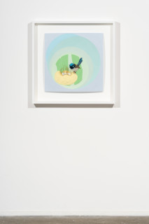 installation view; Patricia Piccinini Superb Fairy Wren, 2025; silicone, fibreglass, hair; 57 x 57 cm; enquire
