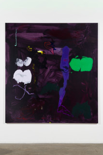 installation view; Tom Polo night garden (devour in the dark), 2026; acrylic Flashe on polycotton; 213 x 198 cm; enquire