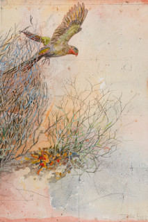 John Wolseley 'The other side of paradise' - Princess Parrot and the last Paradise Parrot (detail), 2026; watercolour and graphite on paper; 70 x 100 cm; 95 x 125 cm (framed); enquire