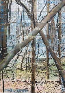 Imants Tillers Critical Forests 1, 2022; synthetic polymer paint, gouache on 32 canvasboards; 201 x 141 cm; enquire