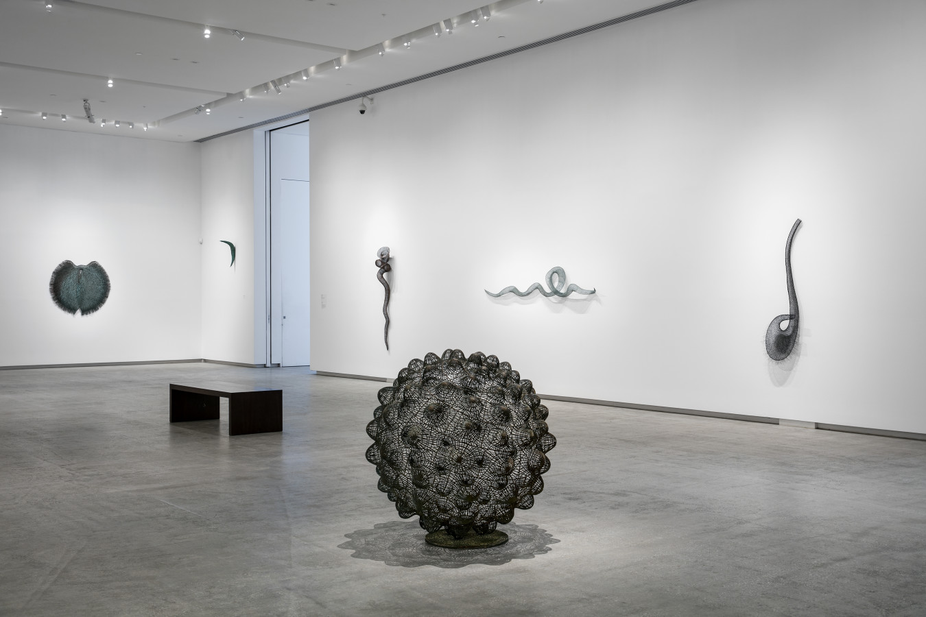 Bronwyn Oliver The Sculpture of Bronwyn Oliver, 201617