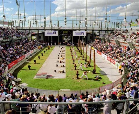 Anne Zahalka Wood Chop Stadium, 1999; type C photograph; 115 x 145 cm; Edition of 12; enquire