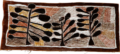 Nyapanyapa Yunupiŋu 3 Wild Apple Trees, 2008; natural earth pigments on bark; 40 x 94 cm; enquire