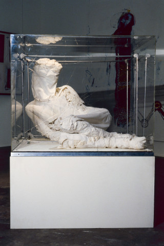 Richard Goodwin Chimera, 1983; cotton, aluminium, stainless steel, perspex; 100 x 100 x 90 cm; enquire