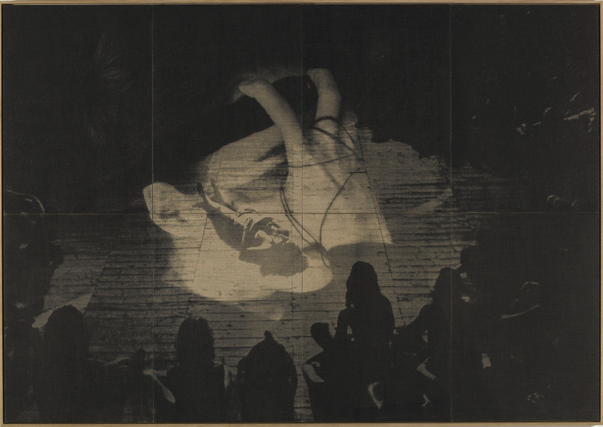 David Noonan Untitled, 2007; Silkscreen on linen; 213.5 × 305cm