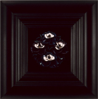 Anne MacDonald Above and Below the Grave (T), 1990; Type C colour photograph; 31 x 31 cm; enquire