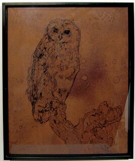 David Noonan Owl, 2003; gouache on canvas; 60 x 50 cm; enquire
