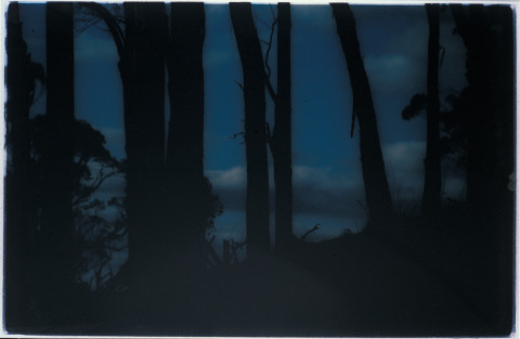Bill Henson Untitled, 1993-94; CL SH99 N16; type C photograph; 138 x 195 cm; Edition of 5 + 2 APs; enquire