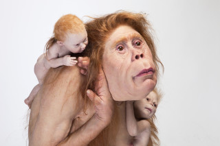 Patricia Piccinini Kindred, 2018; silicone, fibreglass, hair; 103 x 95 x 128 cm; Edition of 3 + 1 AP; enquire