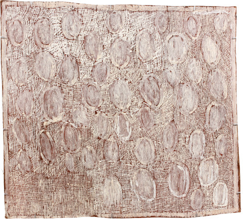 Nyapanyapa Yunupiŋu White Circles, 2011; 4052L; natural earth pigments on bark; 82 x 90 cm; enquire
