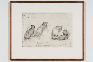John Wolseley Lustful Bettongs Returning to Watikinpirri - Newhaven I, 2024; etching; 40 x 60 cm; 70 x 88 cm (framed); Edition of 40; enquire