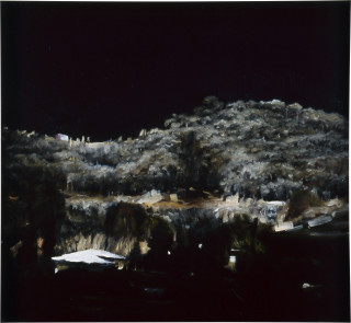 Louise Hearman Untitled #  995, 2003; oil on masonite; 56 x 61 cm; enquire